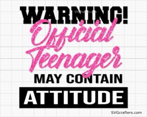 Warning Official Teenager Svg, Official Teenager svg, 13th birthday svg