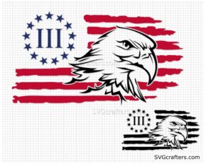 3 Percenter With Eagle Svg, Betsy Ross Flag Svg, constitution